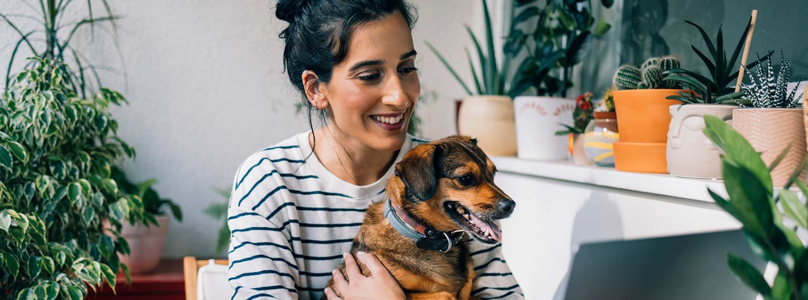 Woman working on laptop with dog.